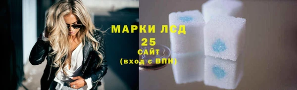 прущие грибы Семикаракорск