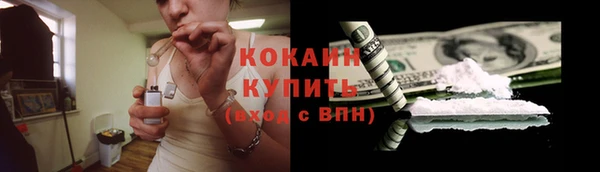 прущие грибы Семикаракорск
