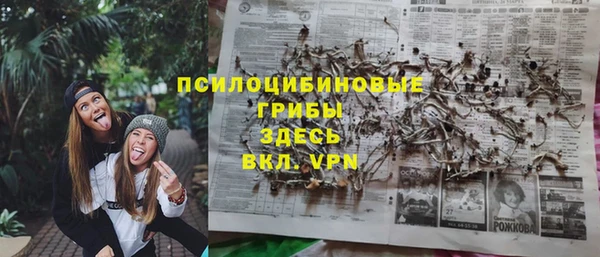 гидра Сафоново